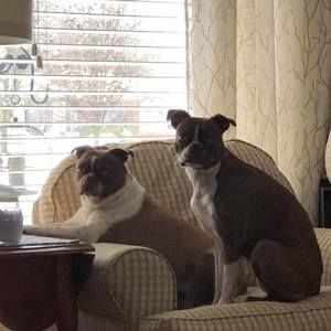 Meet your Posher, Josephine